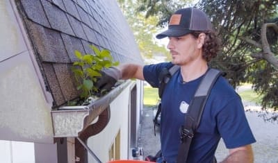 The Brothers That Just Do Gutters franchise member removing plant growth from a house gutter.